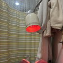 배이비인후과의원 이미지