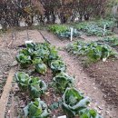 김진성농장 이미지