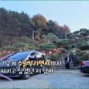 여우바라기 이미지