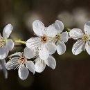 꿈해몽 (글자.성명.도장) 사주 운세 전화사주 채팅사주 사주상담 인생사주 사주맛집 이미지