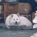 맘마멈머 이미지