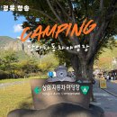 상의자동차야영장 | 주왕산국립공원 상의자동차야영장 재개장 l 사이트 소개 l 명당 추천