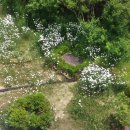 금산인삼랜드(하)휴게소 이미지