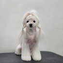 스위프트살롱 이미지