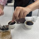 커핑 바리스타 이미지