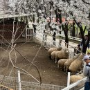 서울목장 이미지