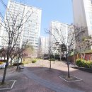 늘푸른공인중개사사무소 이미지