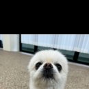 순둥이유치원 이미지