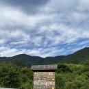 매화골향기 이미지