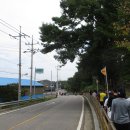 9월27일 (2025 통진가을걷이 걷기대회) 이미지