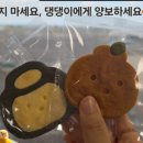 오멍가멍(OMGM) 이미지