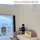 서포상회 | [내돈내산]깔끔한 애견펜션?경남 사천 “슈슈애견펜션 302호” +상세정보