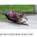 오후다섯시 이미지