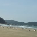 학암포해수욕장 네이버블로그