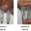 플라스미드(PLASMID)