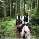 제주통나무휴양펜션 이미지