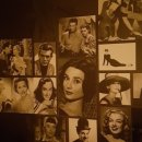 비노바인 이미지