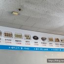 이현선만두