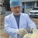 (주)대웅펫 이미지