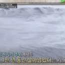 98푸드 티스토리