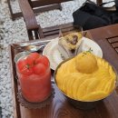 수원 행궁동 디데이하우스 웨이팅 및 망고빙수 솔직후기