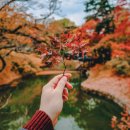 안국선원 | 가을 서울 삼청동가볼만한곳 BEST7, 이번 주 당장 떠나자