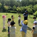 🌳자연놀이터-부곡 유아숲체험원🌳 이미지