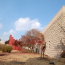 국립현대미술관 과천- 모네의 수련을 만나볼 수 있는 곳 (2) 이미지