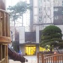 대치어린이집 이미지