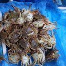 양양5일장 이미지