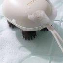츄스글로벌