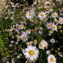 둔덕동 주민자치센터 이미지