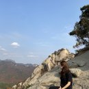 다솔식당 - 시흥시 산기대학로 322 | 다솔식당