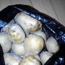 여명농장 이미지