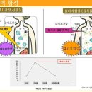 핵산은 우리몸에서 어떻게 만들어질까요? -유전자강의(7) 이미지