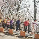 최신영화 카운트 이미지