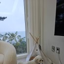 영흥도풀빌라 독채펜션 애견동반 에이치온더씨 내돈내산후기