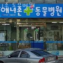 애니존 동물병원 | 수원 인계동 동물병원 애니존 동물병원 위치 오는길 후기