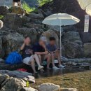 그늘막118 | 다이소 여름 아이템 추천 파라솔 &amp; 파라솔거치대 장단점 (꽃게채집망, 뜰채 후기)