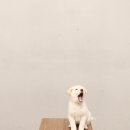 수원-0699 이미지