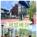 허밍버들