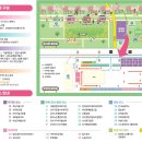 강서 낙동강30리 벚꽃축제(2025년) | 부산 축제 제8회 강서 낙동강 30리 벚꽃축제 행사 정보