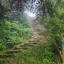 섬초롱펜션 이미지