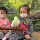 수곡어린이집 이미지