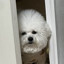 관우체육관 이미지