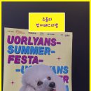 유올리 | (전주애견카페)유올리 썸머페스티벌