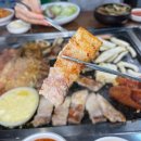 도야지 친구들 이미지