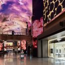 인스파이어 이미지