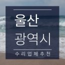 새운자동차정비공업사 이미지