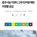 탄저병예방 미생물에 이런 효과도...^^ 이미지